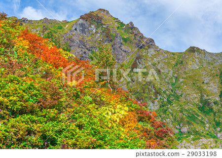 Tanigawa-dake和秋葉的Ridgeline Tanigawa-dake和秋葉的Ridgeline 29033198
