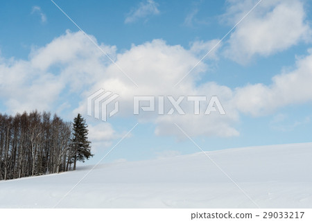 Hill grove Hill grove 29033217