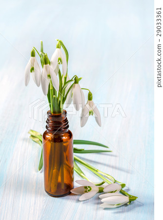Bunch of snowdrops on the wooden table 29033361