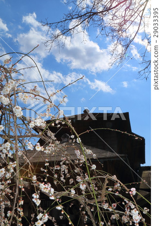 Romantic Ibaragi (Kirakuen Kosunoyintei that it was designed by the Mito clan 9th lord lord Tokugawa Yoshiaki Public "The spirit of education and philosophy") 29033395