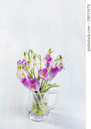 Bouquet of snowdrops and crocuses  29033478