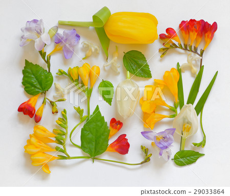 Spring Flower Frame Spring Flower Frame 29033864