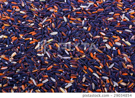 Riceberry rice Riceberry rice 29034854