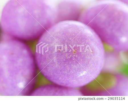 Komurasaki的實際特寫鏡頭 Komurasaki的實際特寫鏡頭 29035114