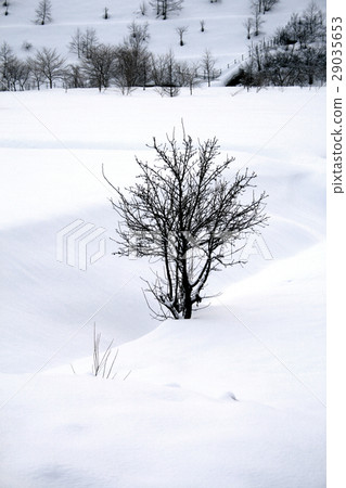 Snowy landscape, winter season 6 Snowy landscape, winter season 6 29035653