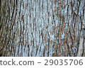 Cedar bark 29035706
