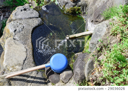 Spring water canister Spring water canister 29036026