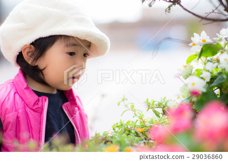 Beautiful flowers♪ Beautiful flowers♪ 29036860