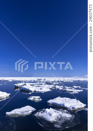 在鄂霍次克海漂流冰 29037473