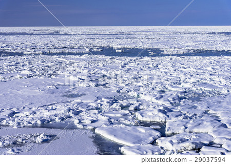 Drift ice in the Sea of Okhotsk 29037594