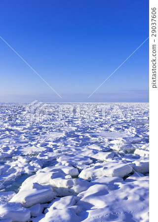 Drift ice in the Sea of Okhotsk 29037606