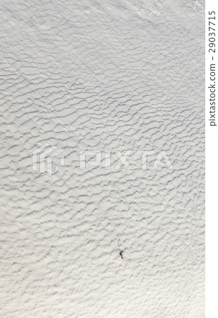 Photo snow, close-up 29037715