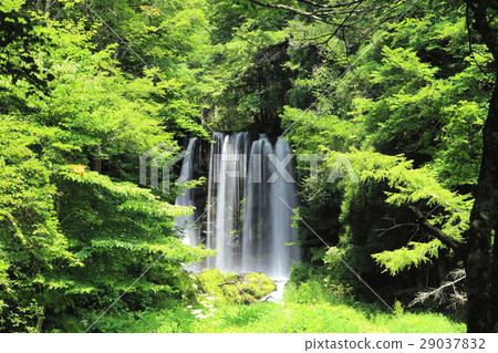 Karasawa Falls 29037832