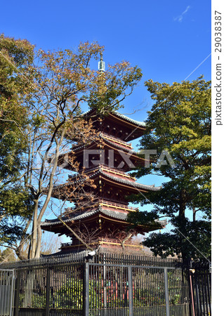 老Kanonaga-ji 5層塔 29038387