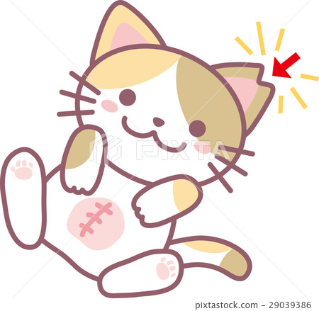 Cat sterilization surgery Cat sterilization surgery 29039386