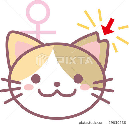 Sakura cat Sakura cat 29039388