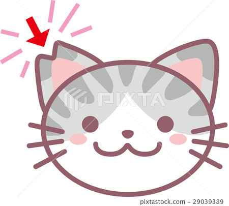 櫻花貓 29039389