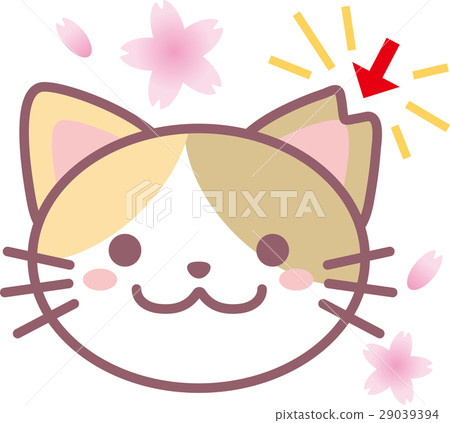 櫻花貓 29039394