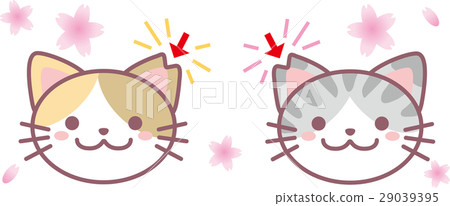 Sakura cat Sakura cat 29039395