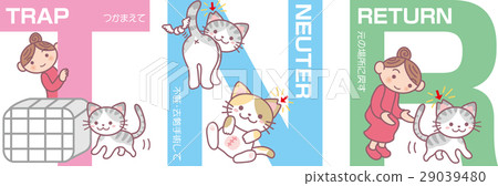 TNR, vector, vectors 29039480