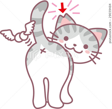 TNR, vector, vectors 29039484