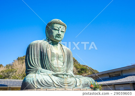 The Giant Buddha or Daibutsu in Kamakura, Japan 29039603