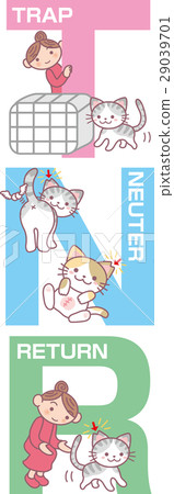 TNR, vector, vectors 29039701