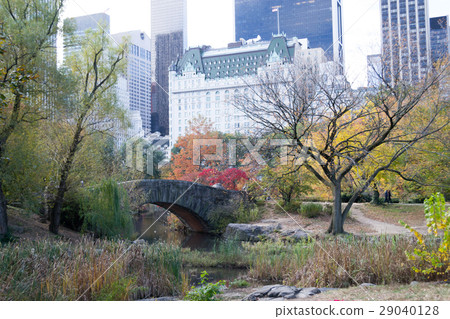 Gapstow bridge in a colorfull fall morning 29040128