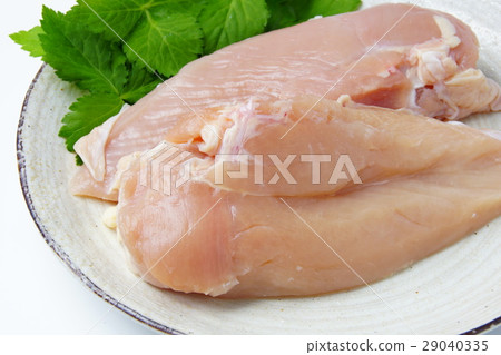 生雞肉 29040335
