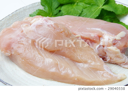 生雞肉 29040338