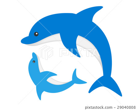 Dolphin Dolphin 29040808
