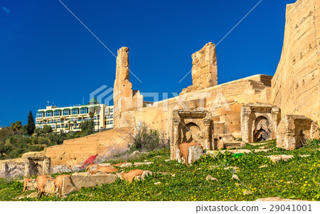 Fortified walls and towers around the Medina of Fortified walls and towers around the Medina of 29041001