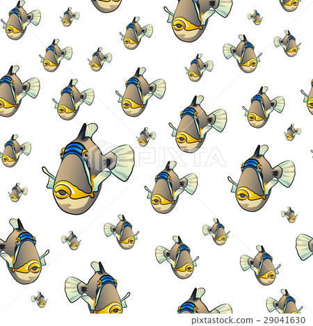 Picasso triggerfish pattern 29041630