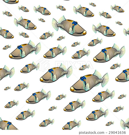 Picasso triggerfish pattern 29041636