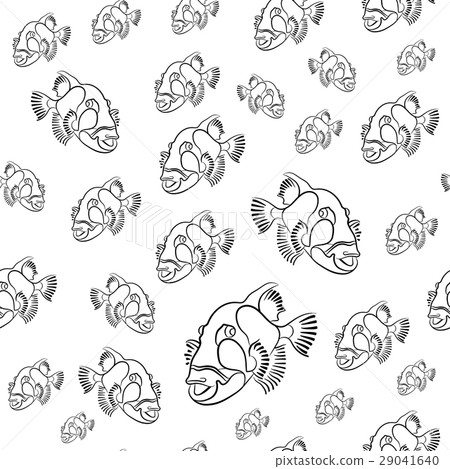 Titan triggerfish pattern, Balistoides viridescens Titan triggerfish pattern, Balistoides viridescens 29041640