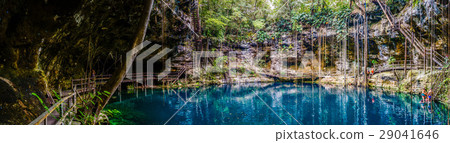 X'Canche Cenote cenote panorama, Yucatan peninsula 29041646