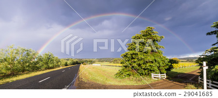 Street with vineyard and rainbow in Tasmania 29041685