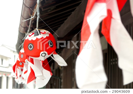 柳井金魚燈籠 29043609