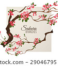 Realistic sakura japan cherry branch with blooming 29046795