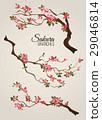 Realistic sakura japan cherry branch with blooming 29046814