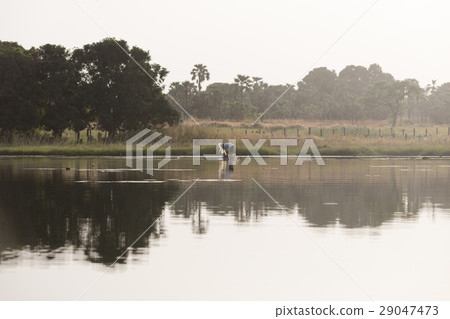 Lake Tengrela, Burkina Faso Lake Tengrela, Burkina Faso 29047473