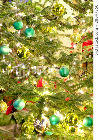 聖誕節照明 聖誕節照明 29047850