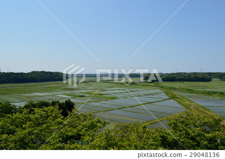 農村風景鳥瞰圖 29048136