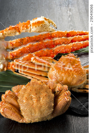 Fresh Crab 29049066