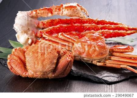 Fresh Crab 29049067