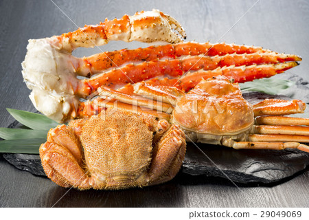 Fresh Crab 29049069