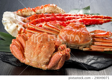 Fresh Crab 29049071