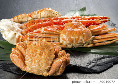 Fresh Crab 29049072