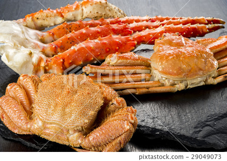 Fresh Crab 29049073