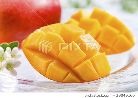 The lattice-cut flesh of ripe mango shines with a vibrant orange hue. It evokes the image of high-quality mangoes from Miyazaki and Okinawa. The lattice-cut flesh of ripe mango shines with a vibrant orange hue. It evokes the image of high-quality mangoes from Miyazaki and Okinawa. 29049160